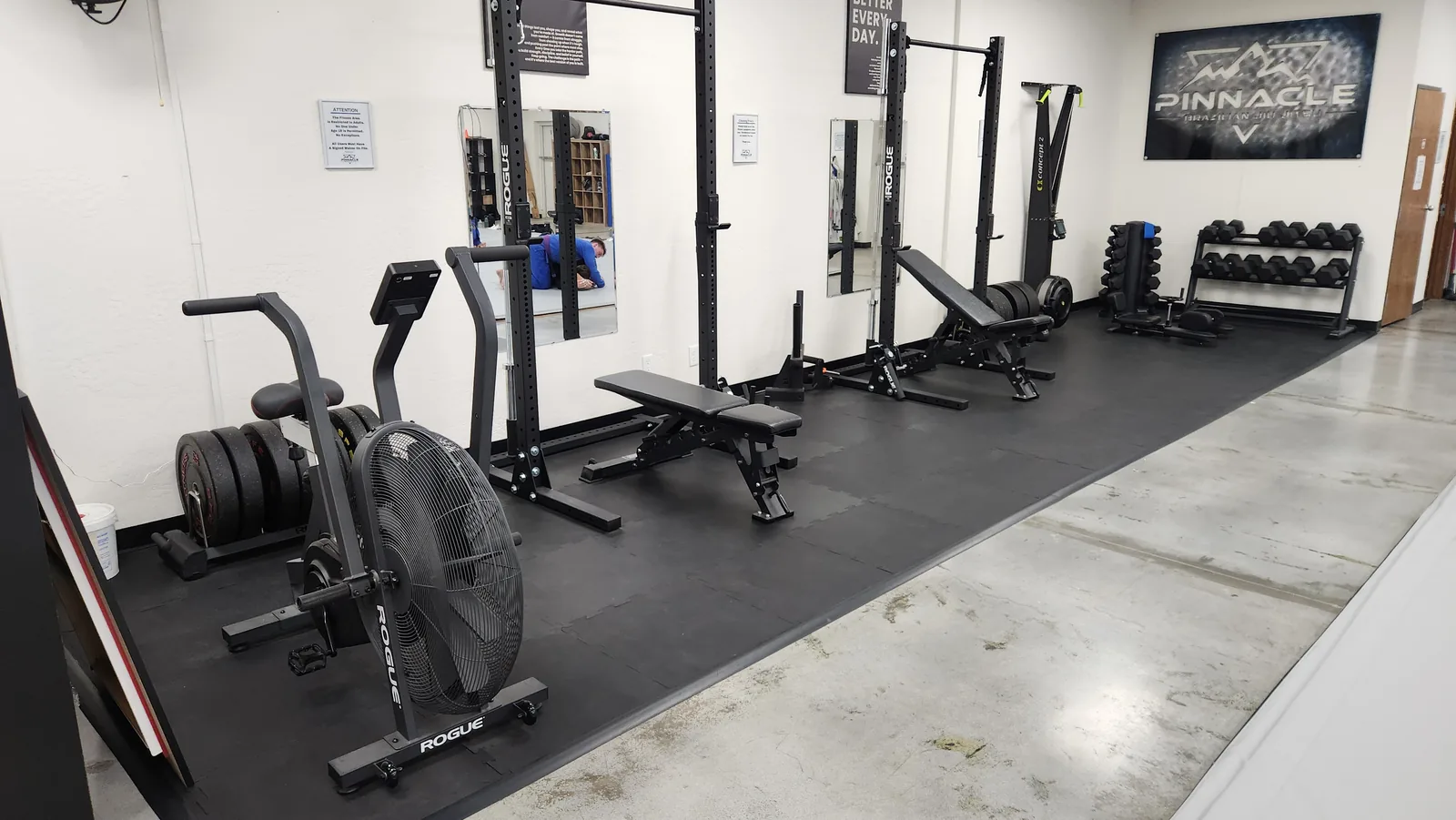 The strength training area at Pinnacle BJJ with squat racks, benches, dumbbells and an air bike